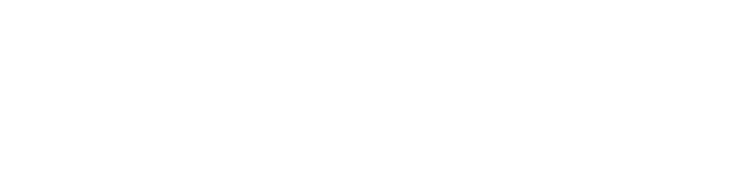 Festo-Logo-W